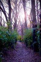 _DSC0920_edited-1.jpg